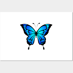 Dramatic Bright Blue and Black Butterfly Posters and Art